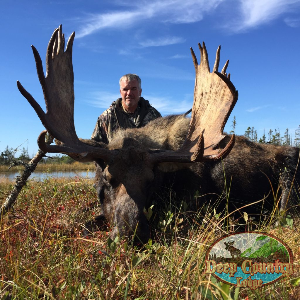 Moose Hunting Newfoundland Canada, Deep Country Lodge