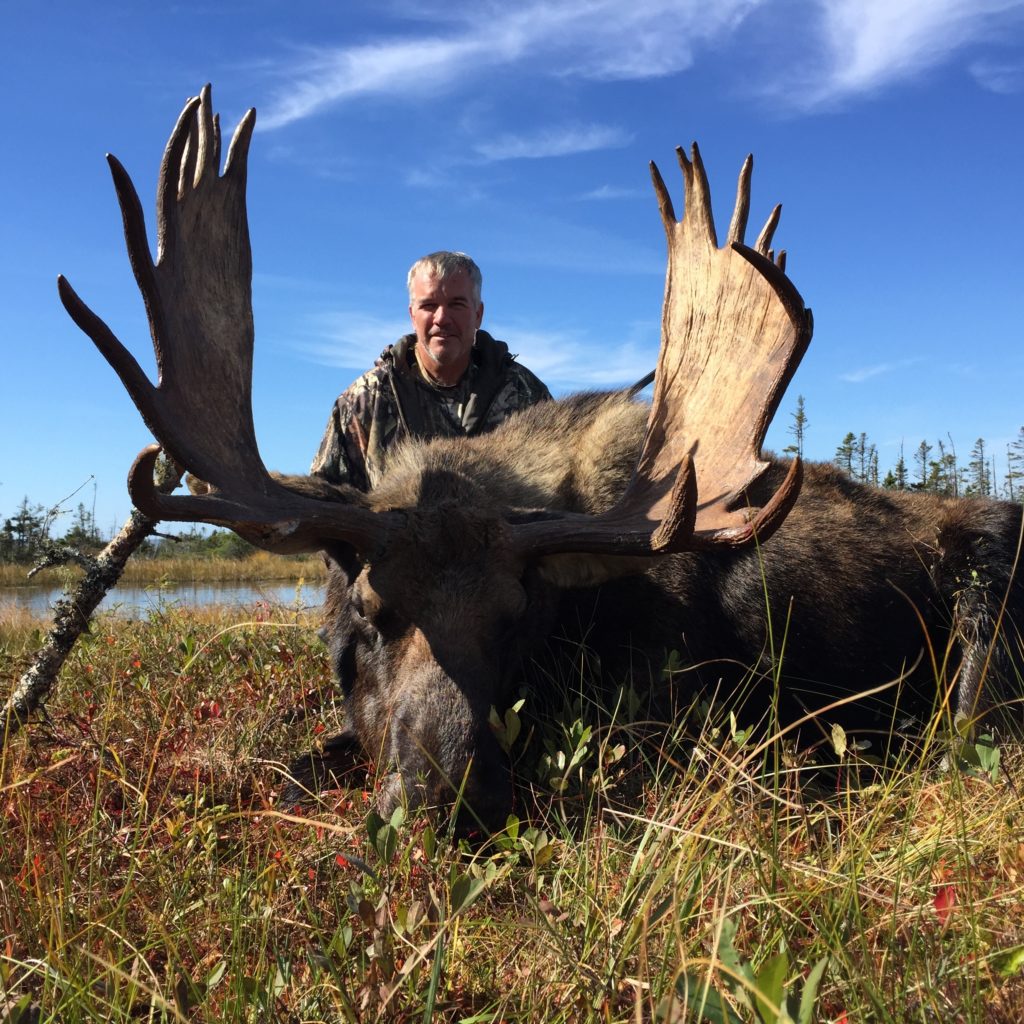 Moose Hunting Newfoundland Canada, Deep Country Lodge