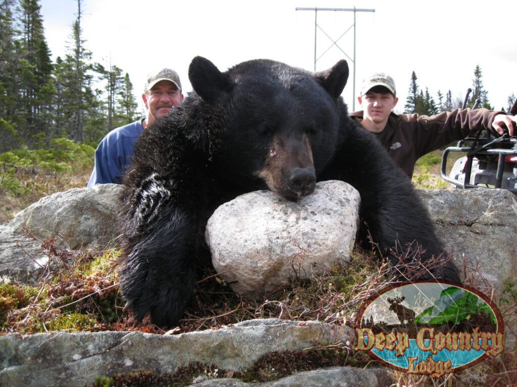 Black Bear hunting Newfoundland Canada Deep Country Lodge