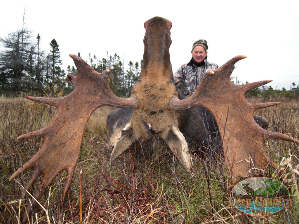 Moose Hunting Newfoundland Canada, Deep Country Lodge