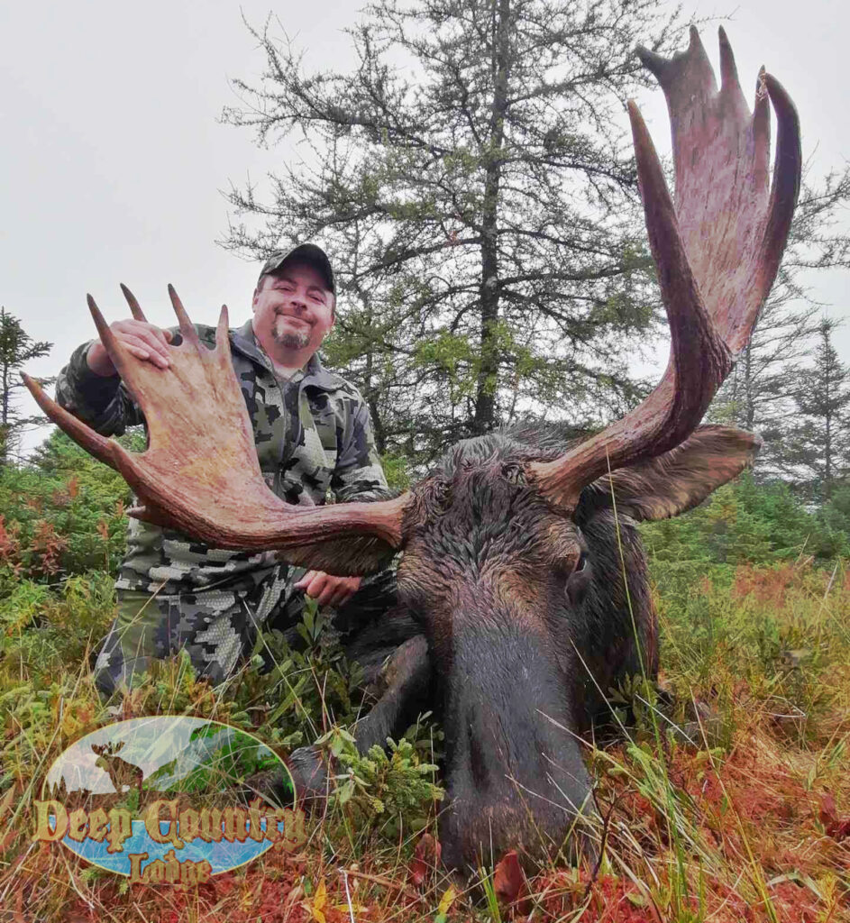 Moose Hunting Newfoundland Canada, Deep Country Lodge