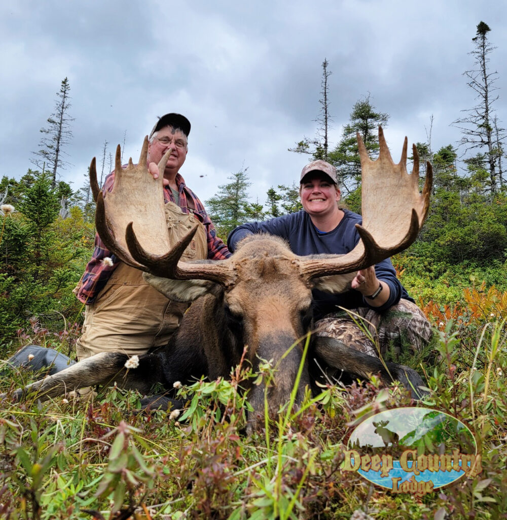 Moose Hunting Newfoundland Canada, Deep Country Lodge
