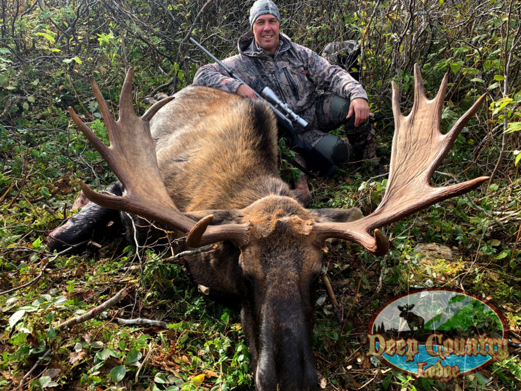 Moose Hunting Newfoundland Canada, Deep Country Lodge