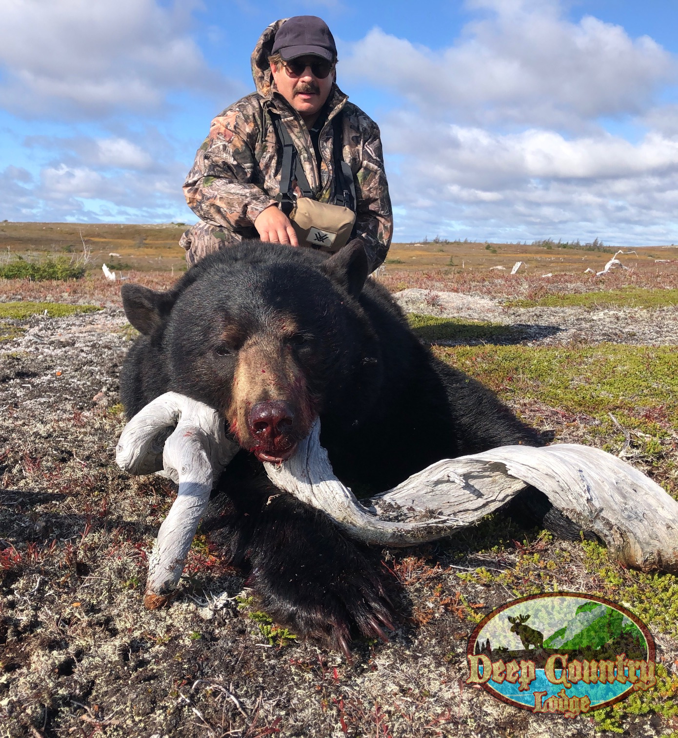 Black Bear hunting Newfoundland Canada Deep Country Lodge