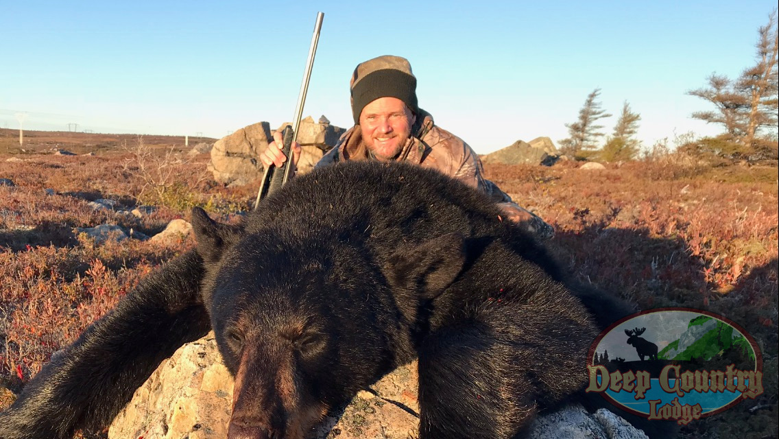 bear hunting in canada