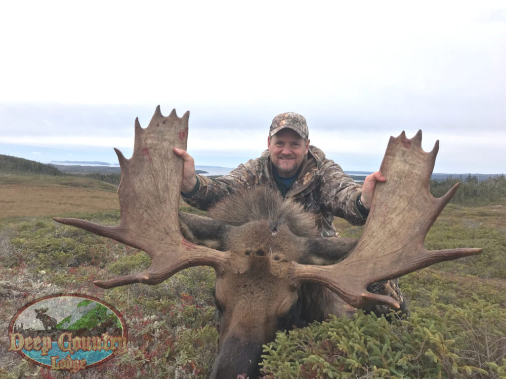 Moose Hunting Newfoundland Canada, Deep Country Lodge