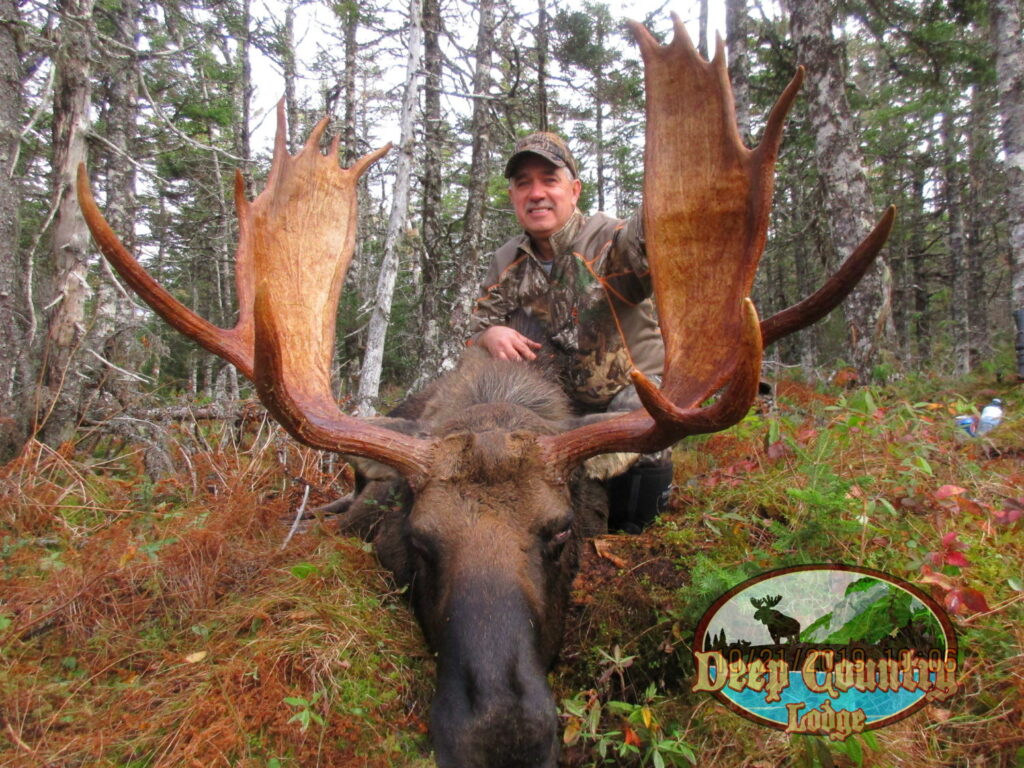 Moose Hunting Newfoundland Canada, Deep Country Lodge