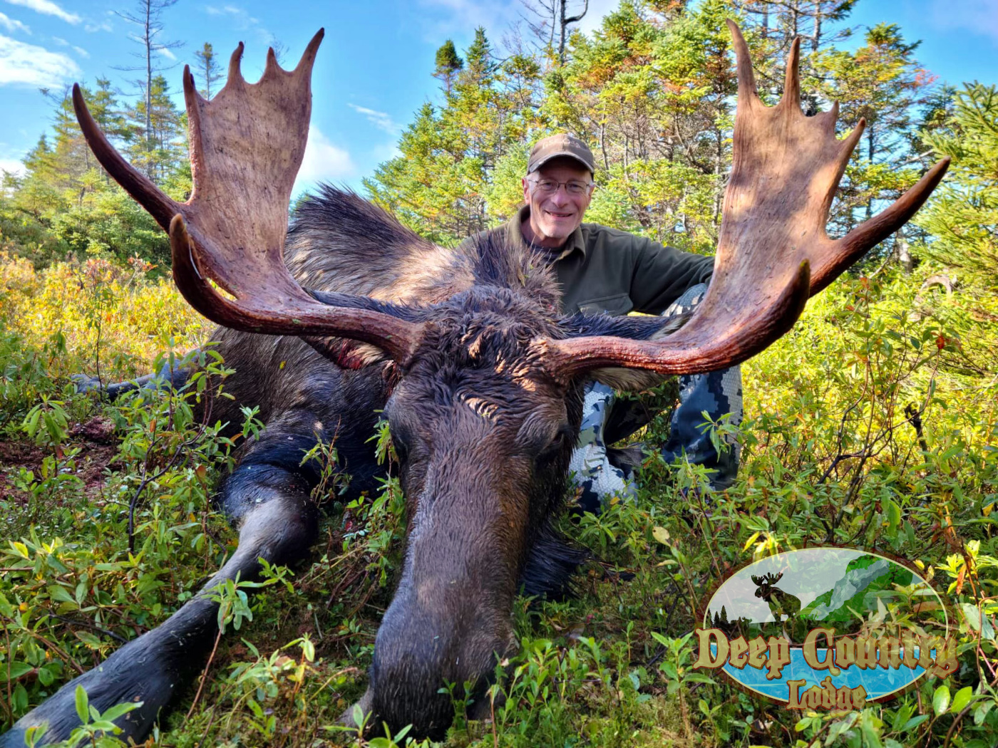 Moose Hunting Newfoundland Canada, Deep Country Lodge