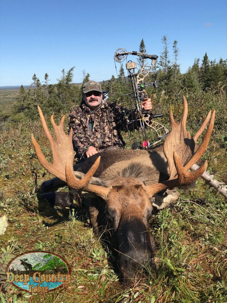Moose Hunting Newfoundland Canada, Deep Country Lodge