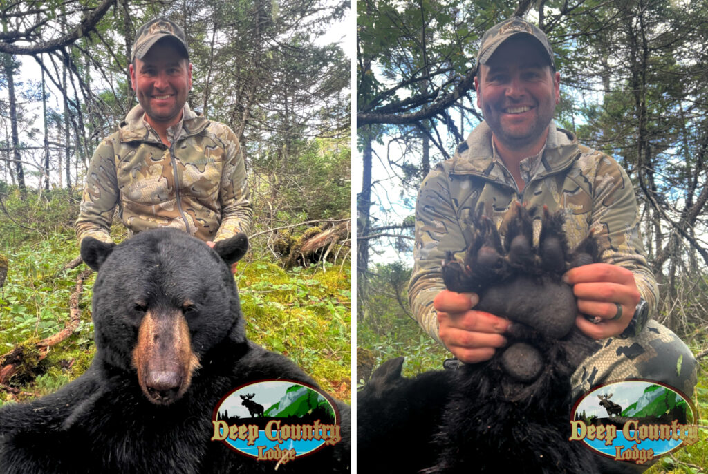 Black Bear hunting Newfoundland Canada Deep Country Lodge