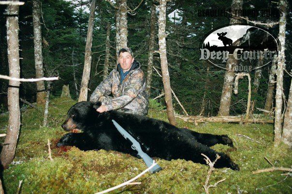bear hunt in canada
