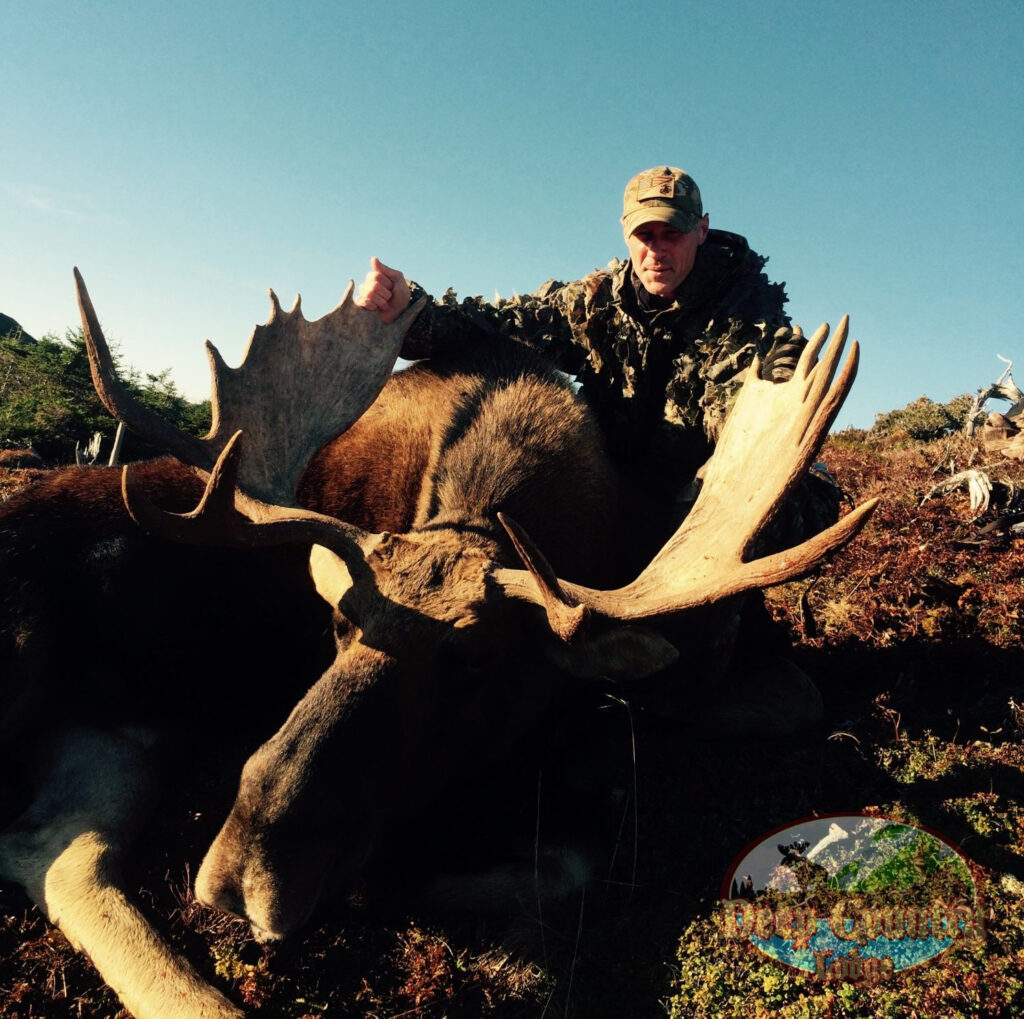 Moose Hunting Newfoundland Canada, Deep Country Lodge