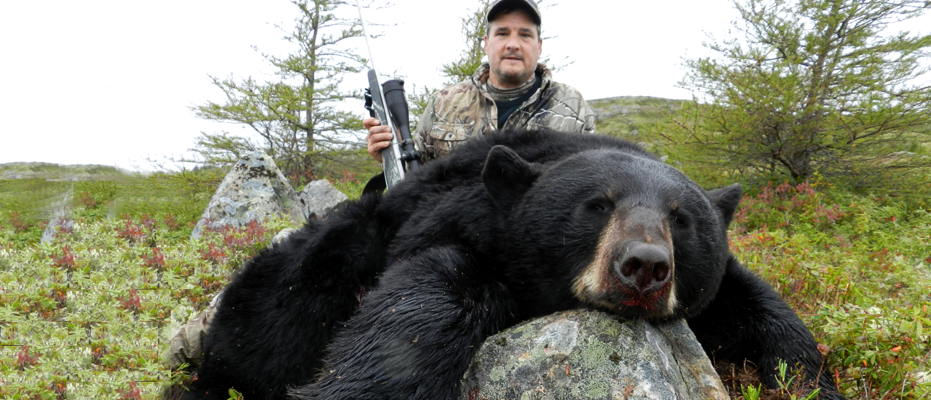 bear hunting outfitters in canada