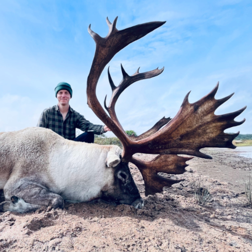 hunting newfoundland