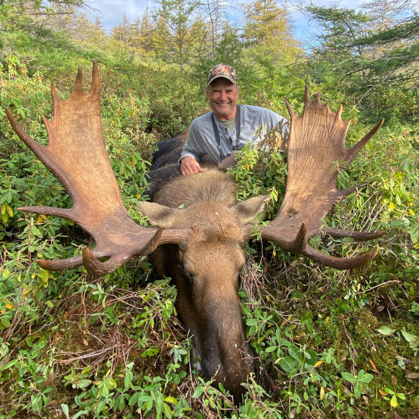 Moose Hunting Newfoundland Canada