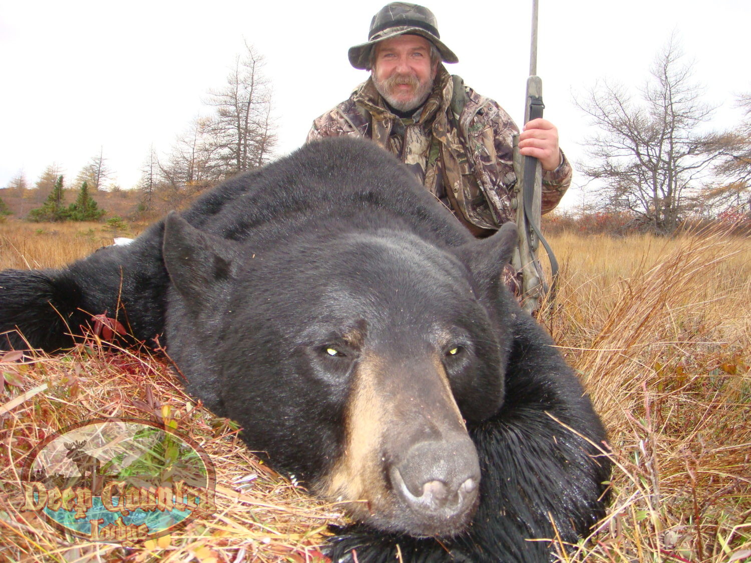 newfoundland black bear hunts