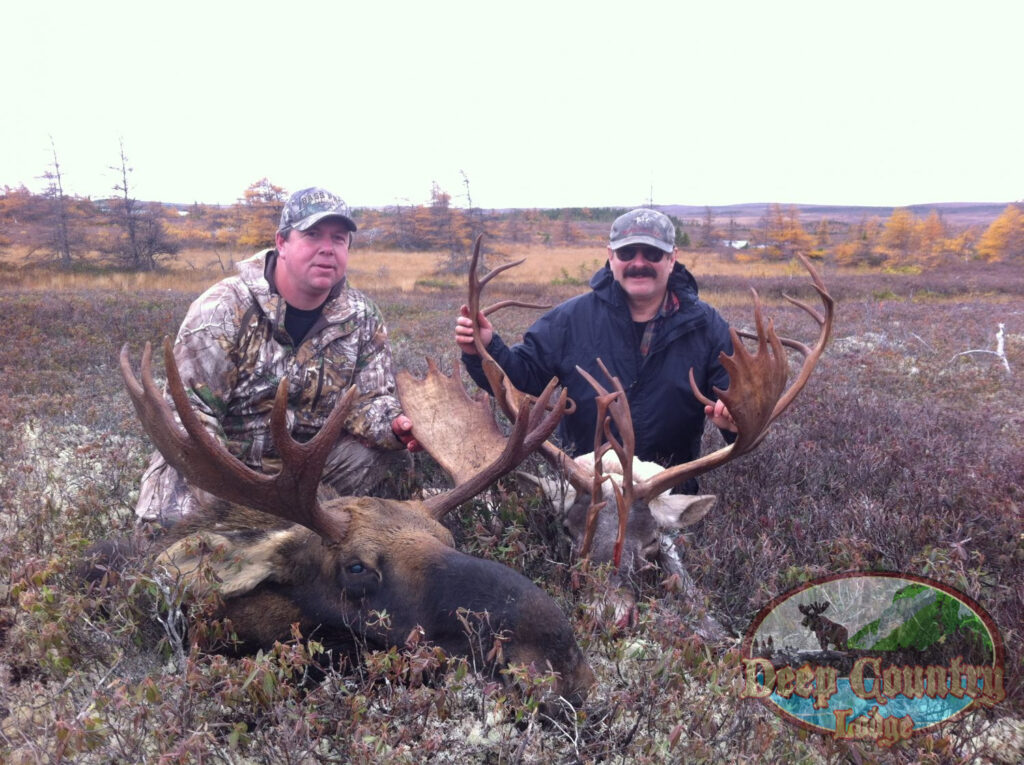Moose Hunting Newfoundland Canada, Deep Country Lodge