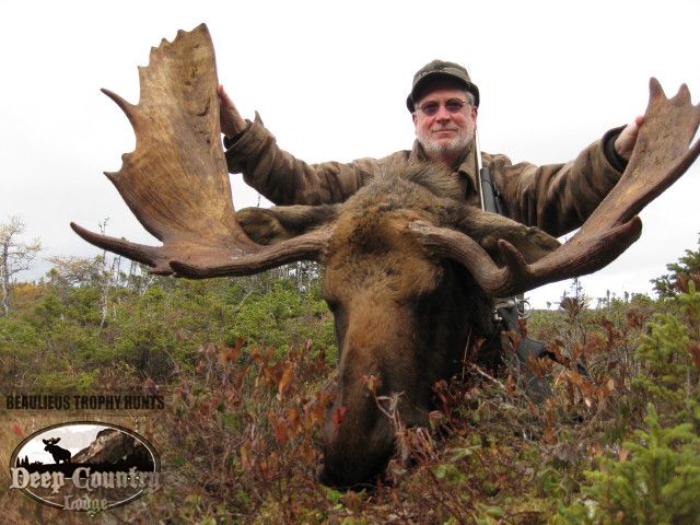 Moose Hunting Newfoundland Canada, Deep Country Lodge