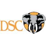 DSC