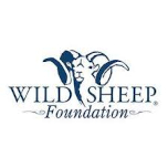 wild sheep foundation