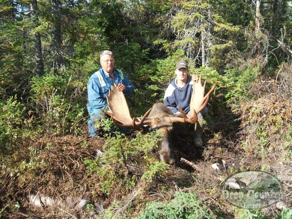Moose Hunting Newfoundland Canada, Deep Country Lodge