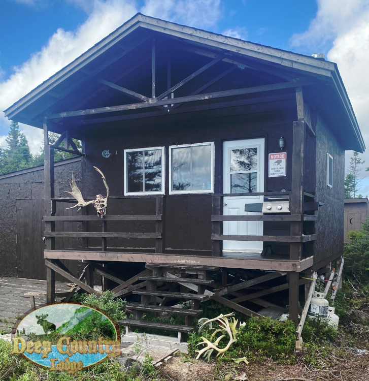 Woodland Caribou Newfoundland Canada Deep Country Lodge