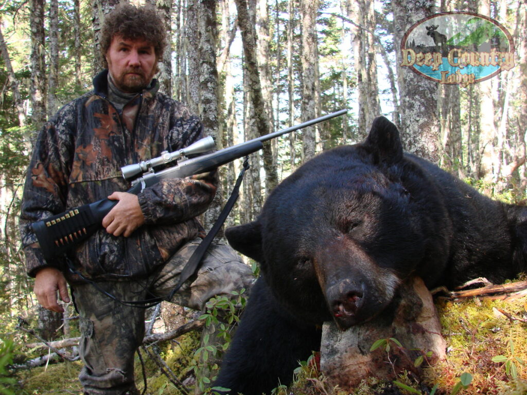 Black Bear hunting Newfoundland Canada Deep Country Lodge