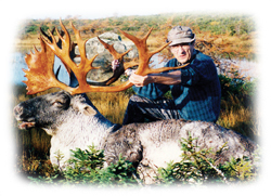man with moose