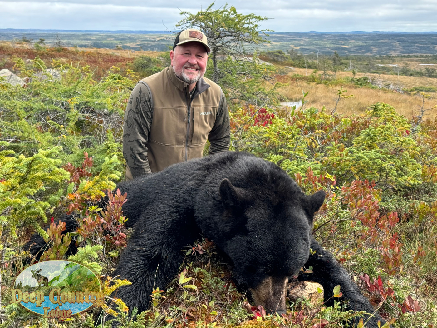 Black Bear Hunting Gallery