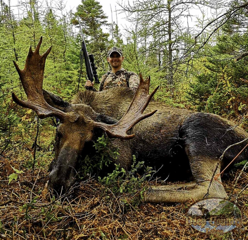 moose hunting in labrador