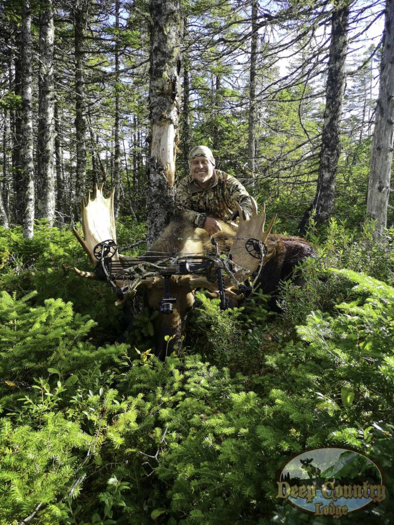 Moose Hunting Newfoundland Canada, Deep Country Lodge