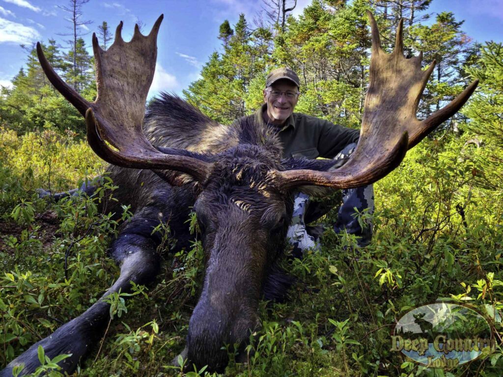 Moose Hunting Newfoundland Canada, Deep Country Lodge