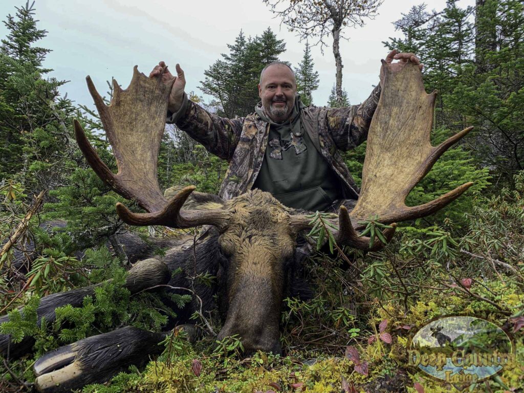 Moose Hunting Newfoundland Canada, Deep Country Lodge