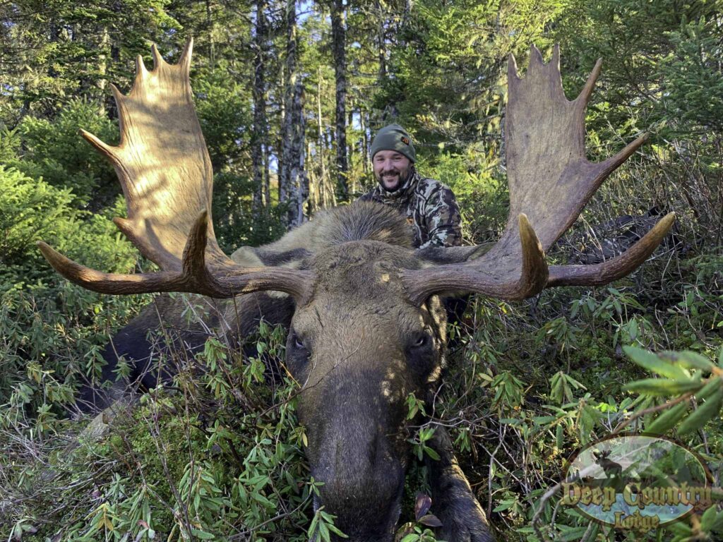 Moose Hunting Newfoundland Canada, Deep Country Lodge