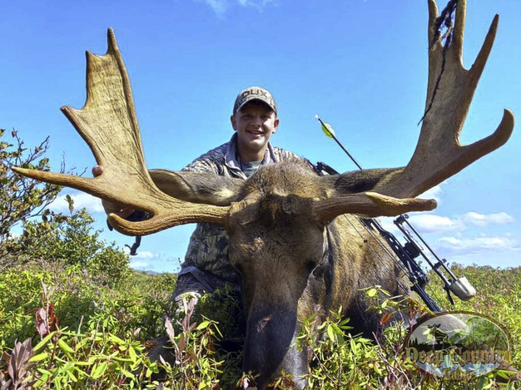 Moose Hunting Newfoundland Canada, Deep Country Lodge