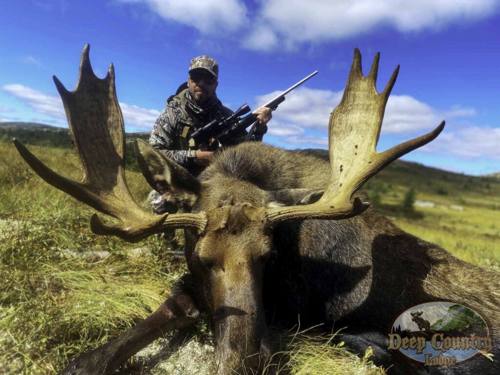 Moose Hunting Newfoundland Canada, Deep Country Lodge