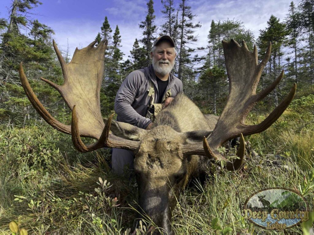 Moose Hunting Newfoundland Canada, Deep Country Lodge
