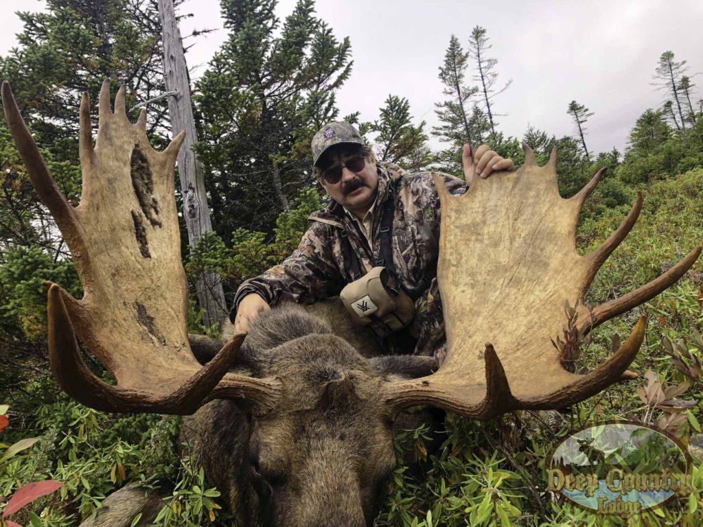 Moose Hunting Newfoundland Canada, Deep Country Lodge