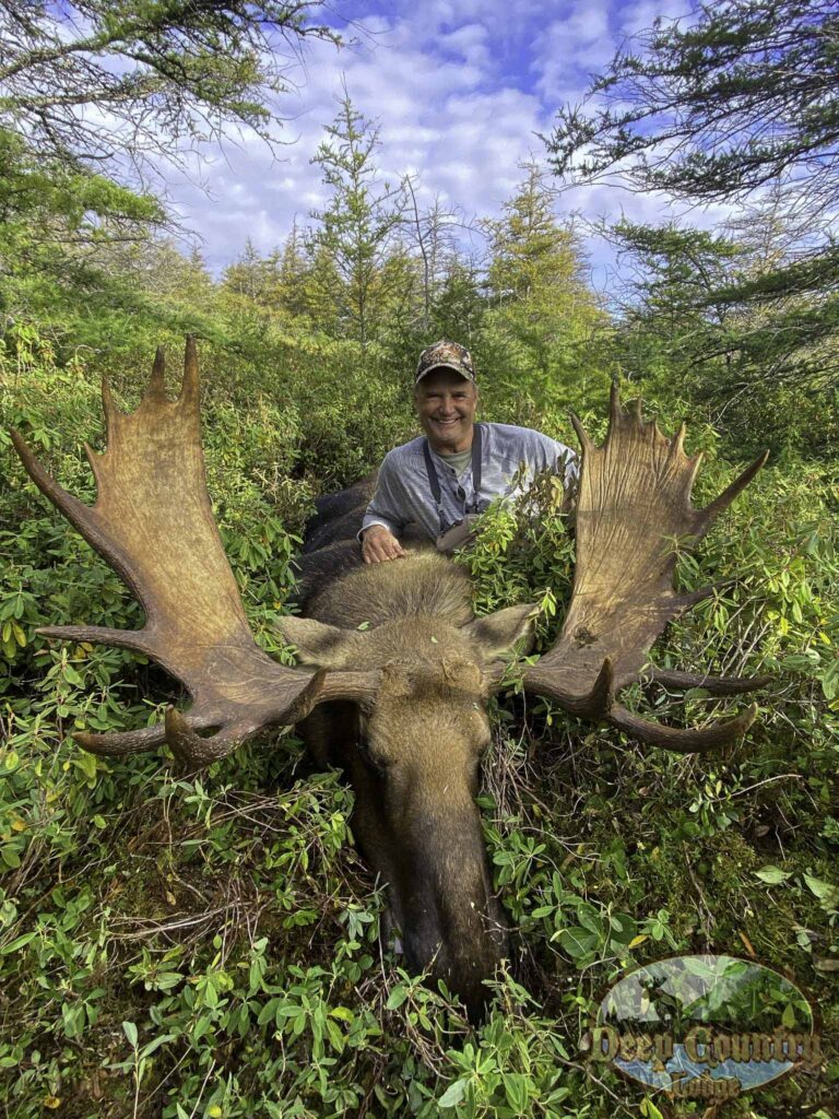 Moose Hunting Newfoundland Canada, Deep Country Lodge