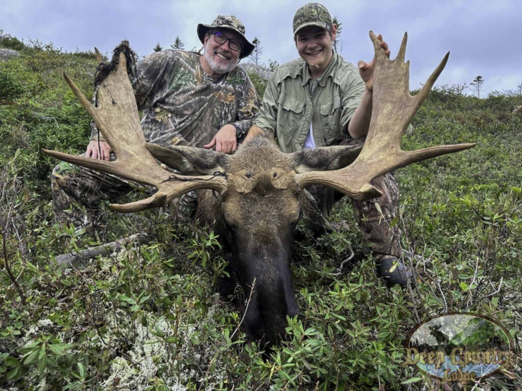 newfoundland moose hunting outfitters​