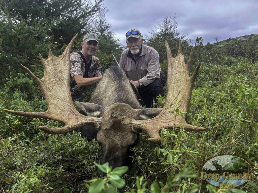 Moose Hunting Newfoundland Canada, Deep Country Lodge