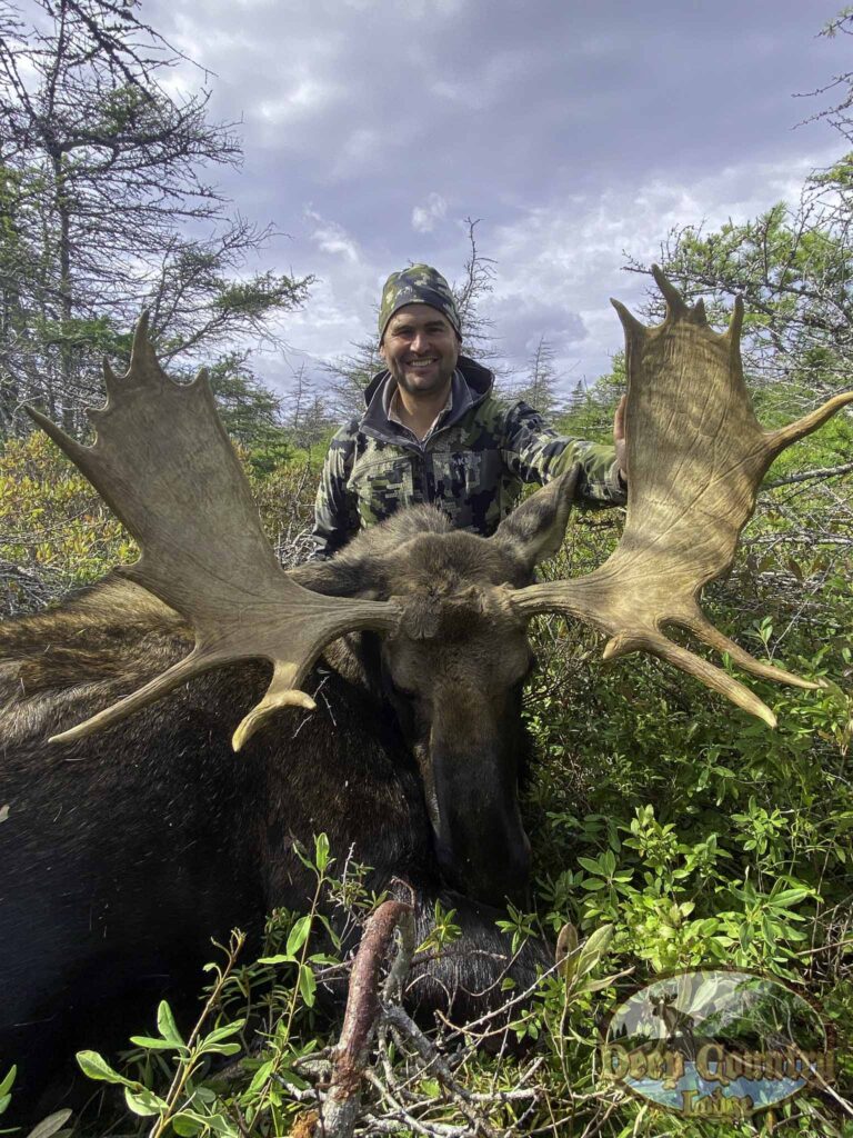 Moose Hunting Newfoundland Canada, Deep Country Lodge