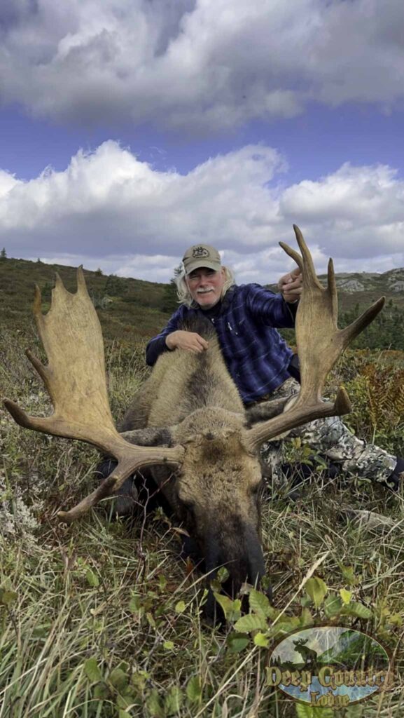 Moose Hunting Newfoundland Canada, Deep Country Lodge