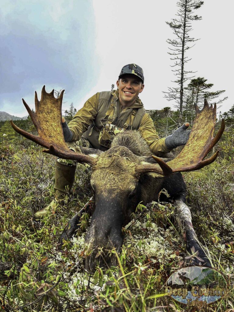 Moose Hunting Newfoundland Canada, Deep Country Lodge