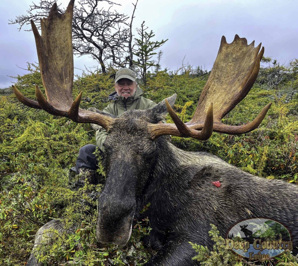 Moose Gallery hunting Newfoundland Canada, Deep Country Lodge