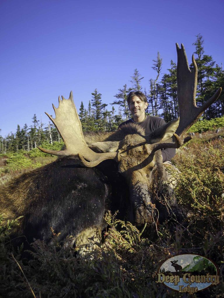 Moose Hunting Newfoundland Canada, Deep Country Lodge