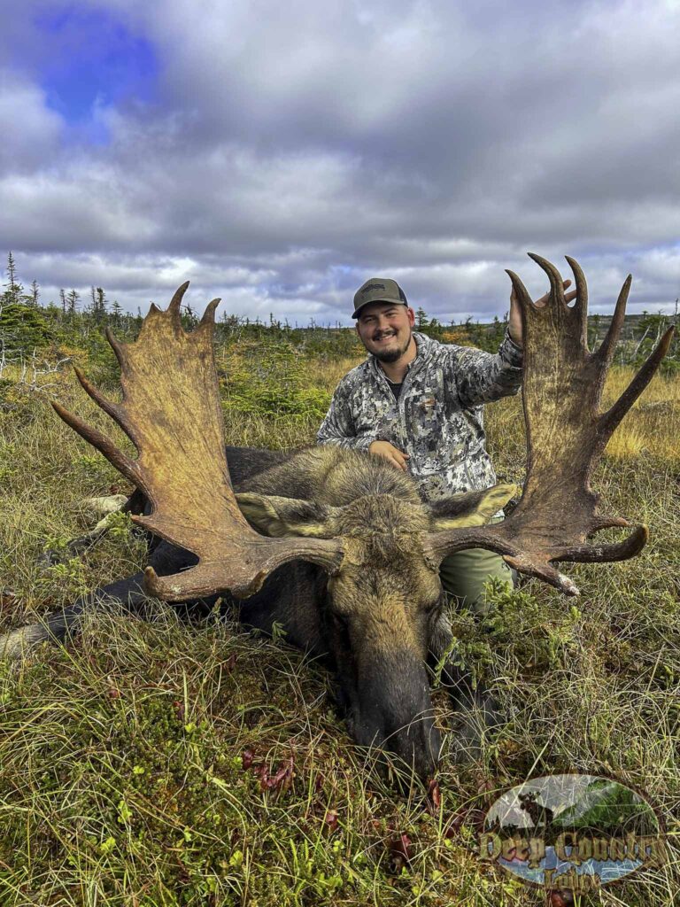 moose hunting newfoundland