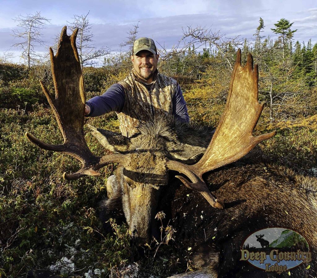 Moose Hunting Newfoundland Canada, Deep Country Lodge