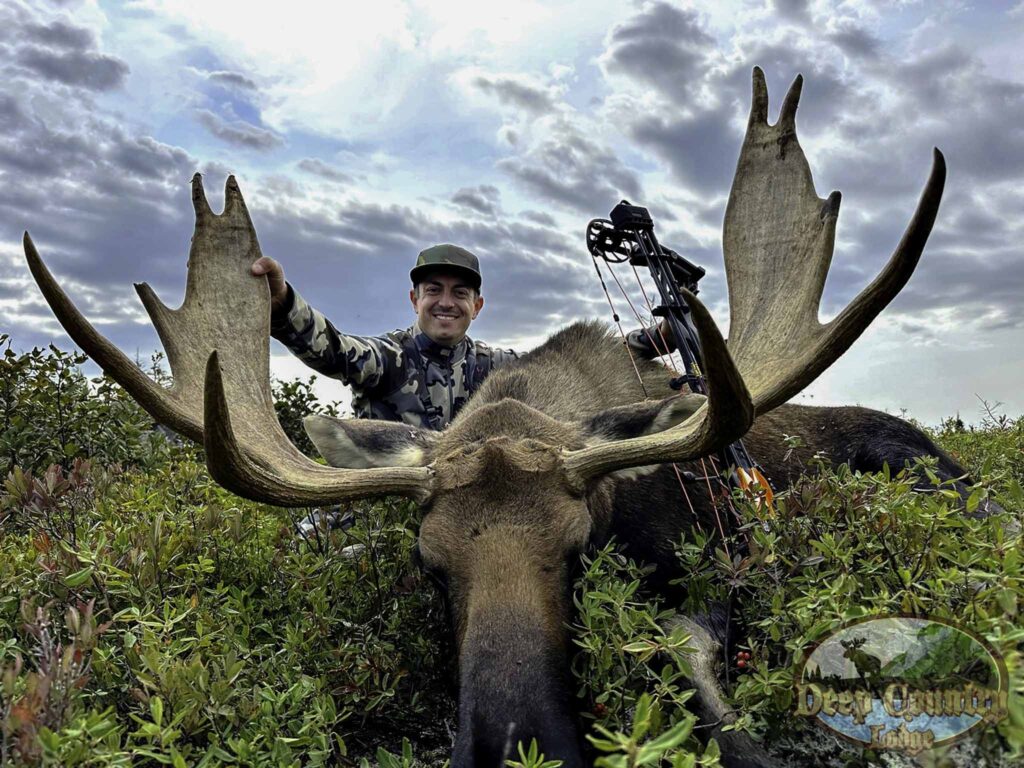 Moose Hunting Newfoundland Canada, Deep Country Lodge