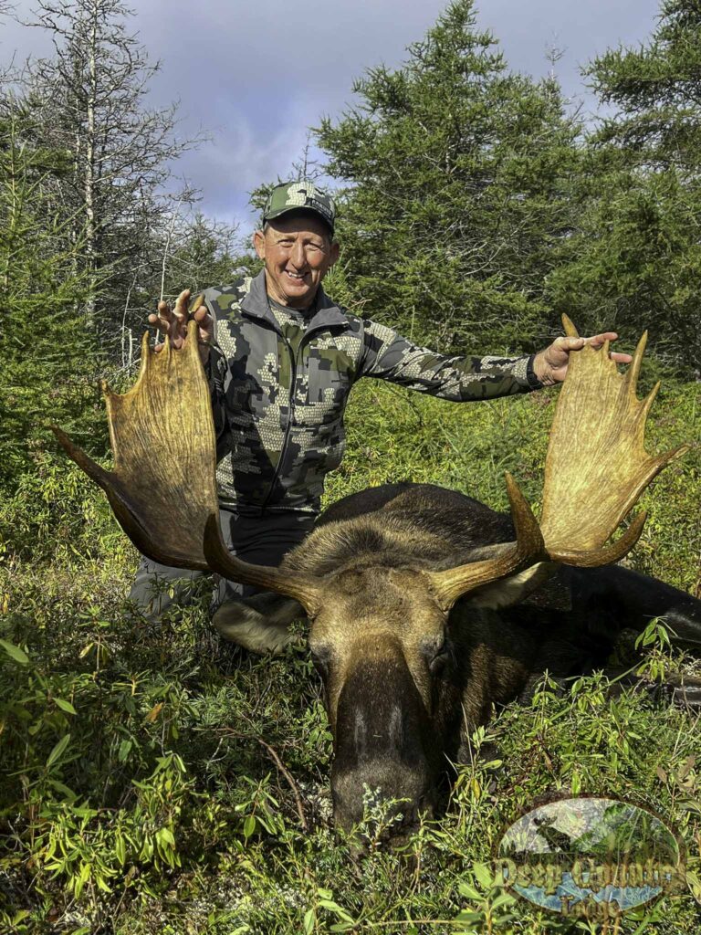 newfoundland canada moose hunting​